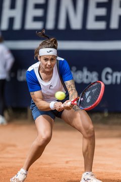 Bild 349 - BL DTV Hannover - BW Dresden Blasewitz : Ergebnis: 2:7